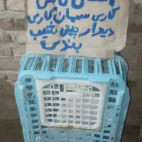 جعبه مرغ فروشی