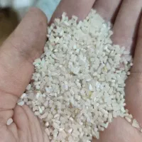 فروش برنج فجرسوزنی شمال با عطر و طعم عالی|خوردنی و آشامیدنی|شاهرود, |دیوار