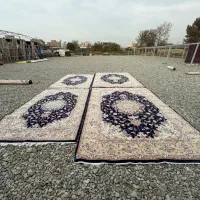 فرش نگین مشهد