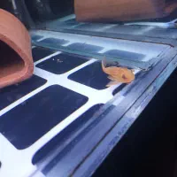 کت شکلاتی لجنخوار