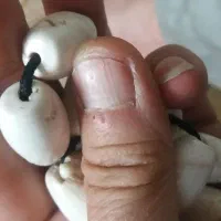 مهره محبت کهنه|کلکسیون اشیاء عتیقه|تهران, شوش (باغ آذری)|دیوار