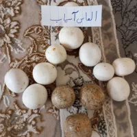 سنگ الماس اسیاب گوهر و..|جواهرات|تهران, آبشار|دیوار