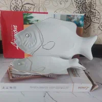 دیس ماهی نو با جعبه