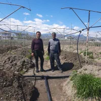 لوله کشی ّباغات کیوی