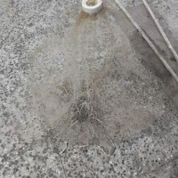 تو ماهیگیری دستی (سلیه)  کارخانه ای