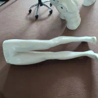 مانکن لباس مردانه|فروشگاه و مغازه|یاسوج, |دیوار