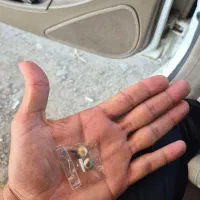 مهرهای قدیمی|جواهرات|شوش, |دیوار