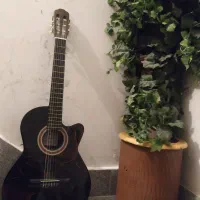 گیتارساخت دستSwanمجهزبه درگاه آمپلیفایر(چوبی محشر)