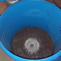 گردو و بادوم پوست کن