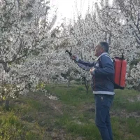کارهای باغبانی سمپاشی علف کشی کودهی سمپاشی درختان