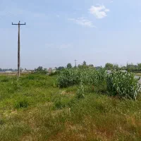 زمین صنعتی بر خیابان اصلی تهاتر دارد|فروش دفتر صنعتی، کشاورزی، تجاری|آمل, |دیوار