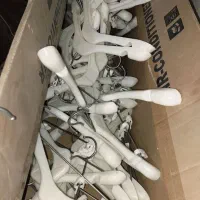 چوبکاربچگانه