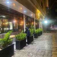 نیرو خانم برای فستفود