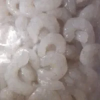 میگ جنگل