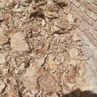 نان خشک تمیز ۲تن دارم