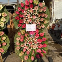 عمده فروشی تاج گل ترحیم ونمایشگاه بینالمللی|گل و گیاه طبیعی|تهران, سعادتآباد|دیوار