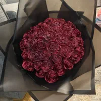 گل ربانی|گل و گیاه طبیعی|اراک, |دیوار