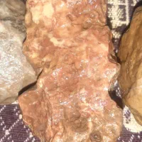 تعدادی سنگ گرانبها|جواهرات|شیراز, مسلم|دیوار