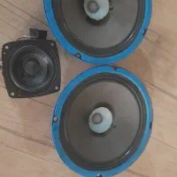 یک جفت میدرنج  ۶ کیو اس QS