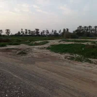 زمین کشاورزی سه هکتار