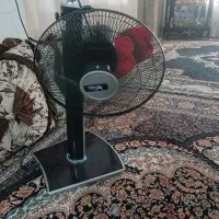پتکه سالم روشن فقط گردنش شکسته