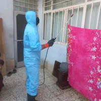 سمپاشی،حرفی در منزل،معازه تضمینی ،تخصیص