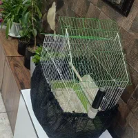 قفس دو تا|لوازم جانبی حیوانات|شهر ری, شهرک نظامی|دیوار