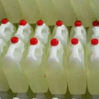 وایتکس