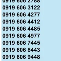 0919.91.200.91|سیم‌کارت|کرج, عظیمیه|دیوار