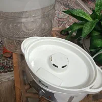 دستگاه بخار پز|اجاق گاز و لوازم برقی پخت‌وپز|مشهد, الهیه|دیوار