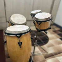 نوازنده پرکاشن