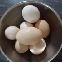 تخم مرغ محلی