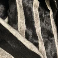 پالتو مزونی پوست  نو و کاپشن چرم مزونی وبوفالو|لباس|تبریز, |دیوار