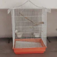 قفس عروس هلندی