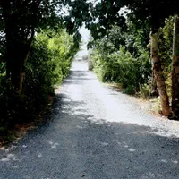 اجاره باغ،ویلا،سفره خانه،کافه رستوران،باغ رستوران|اجارهٔ کوتاهمدت ویلا و باغ|اصفهان, کشاورزی|دیوار