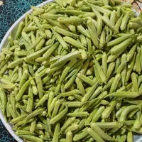 بامیه زابلی
