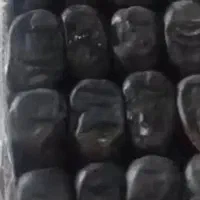 خرمای مضافتی درجه یک بم