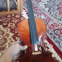 ویلن تی اف|ویولن|شهرکرد, |دیوار