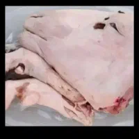 خط اول کشتارگاه مشهد انوای داخلی گوسفند|حیوانات مزرعه|مشهد, جلالیه|دیوار