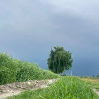 زمین مسکونی 200 متر با بر 9 متر