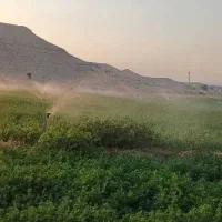 فروش فواره بارانی|ماشین‌آلات صنعتی|شیراز, ارم|دیوار
