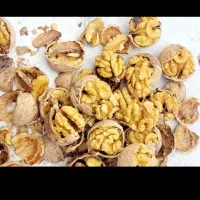 گردو|خوردنی و آشامیدنی|تهران, هرندی|دیوار