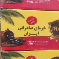 خرما مضافتی بارلوکس عمده