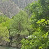 تورلحظه اخری شمال ازرشت تاحیران بهترین آب وهوا|تور و چارتر|شیراز, قدوسی غربی|دیوار
