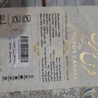 فرش ۹ متری ۱۵۰۰ شانه برجسته|فرش|مریوان, |دیوار