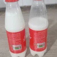 شیرالاغ موجود است|خوردنی و آشامیدنی|تربتحیدریه, پائین ولایت|دیوار