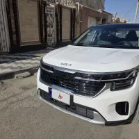 کیا سلتوس خشک