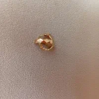 گوشواره کلیبسی طلا نو نو|جواهرات|صدرا-فارس, فاز ۱|دیوار