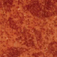 موکت|موکت|بیجار, |دیوار