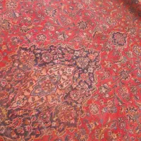 فرش|فرش|مراغه, |دیوار